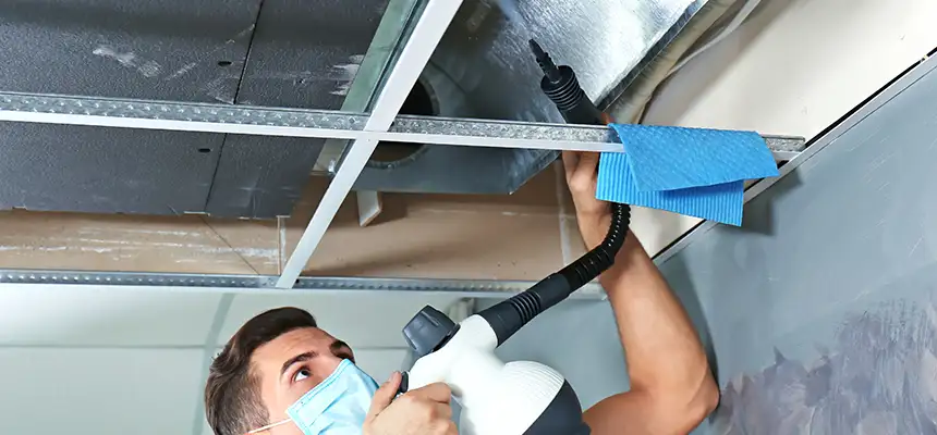 Our Air Duct Rodent Removal Services in Desert Hot Springs, CA