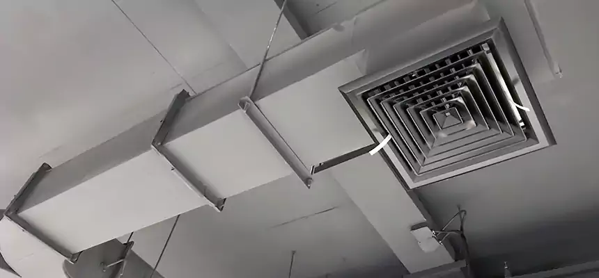 Restorative Allergy Relief Vent Cleaning – Coil, Blower & Housing Detail in Desert Hot Springs