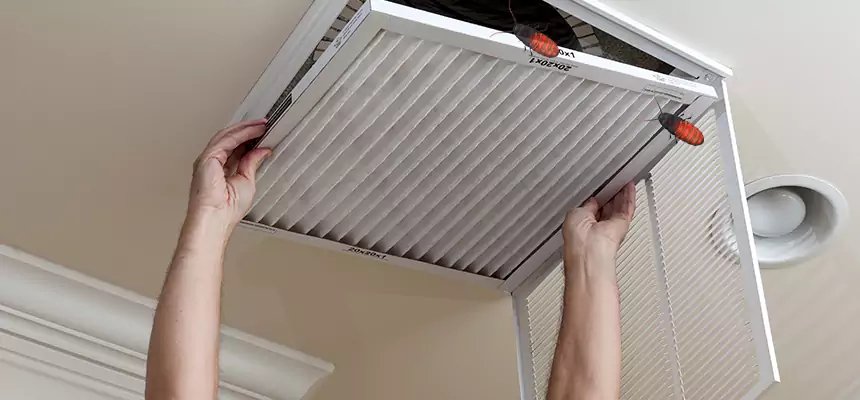 Our Insect Removal from Air Ducts Services in Desert Hot Springs, CA