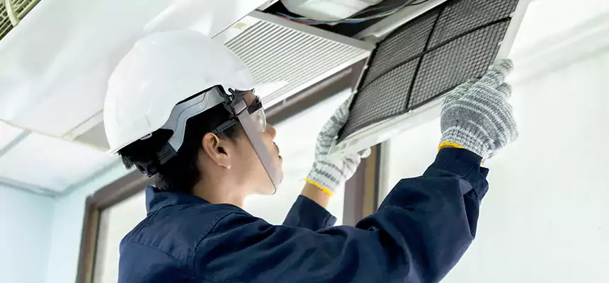 Our Mold & Mildew Removal from Air Ducts Services in Desert Hot Springs, CA