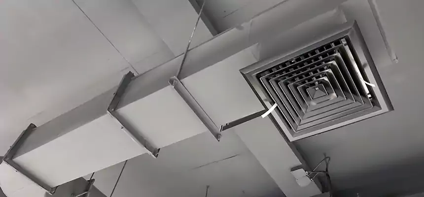 Our Pest Removal From Ducts Services in Desert Hot Springs, CA