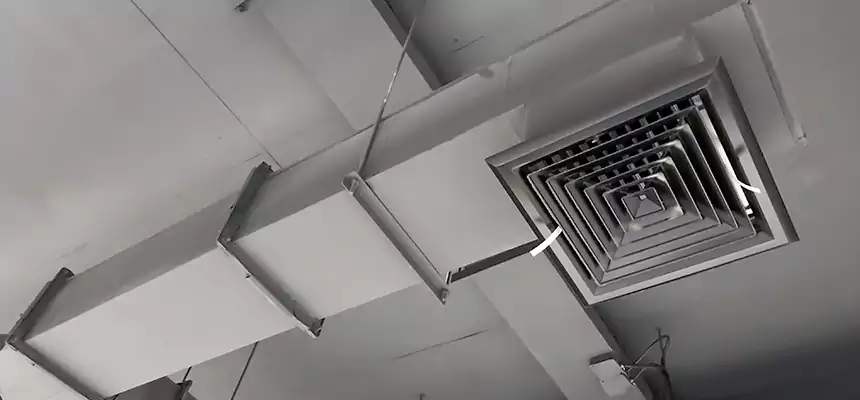 Our Rodent Droppings In Vents Services in Desert Hot Springs, CA