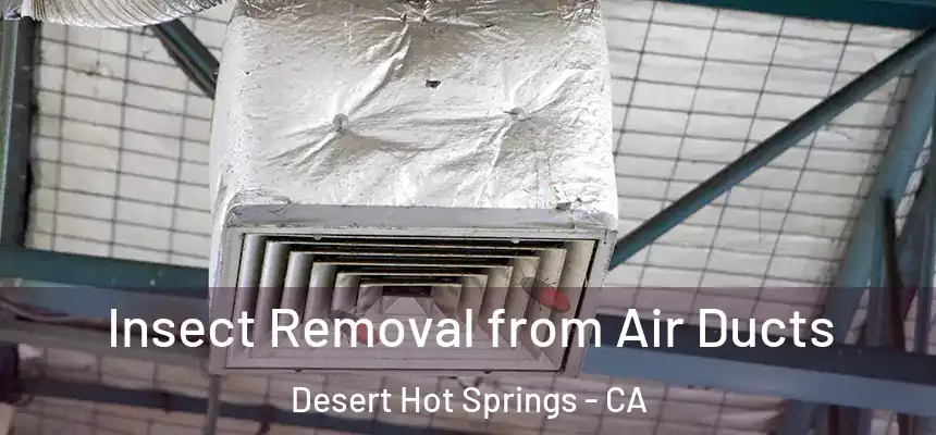  Insect Removal from Air Ducts Desert Hot Springs - CA