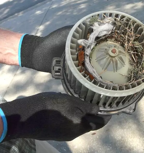 About Air Duct Mice Removal in Desert Hot Springs, CA