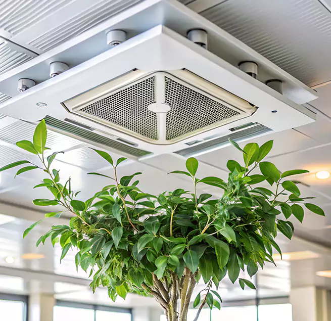 Why Homeowners & Businesses Trust Us in Desert Hot Springs, CA?